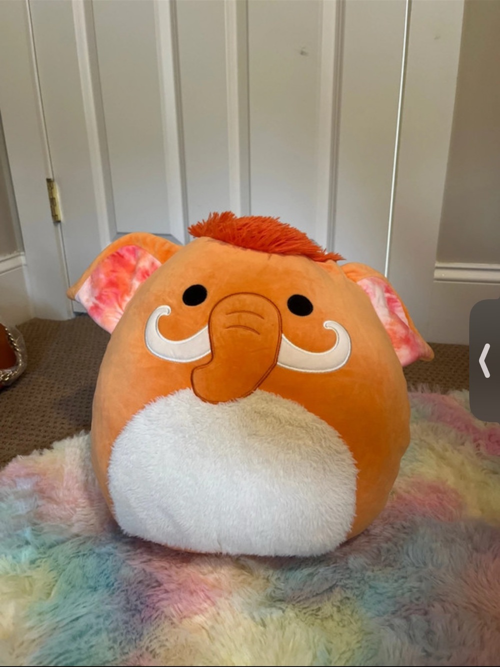 Mr. Orange Elephant Squishmallow with White Belly